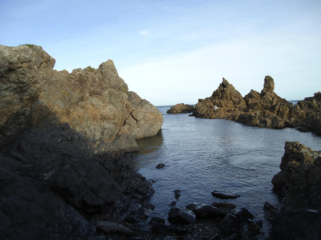 Princess Bay-惠灵顿必去景点