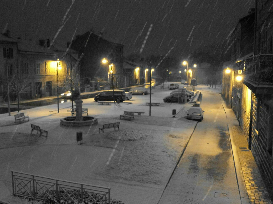 Logis Hôtel les Sires de Semur主图