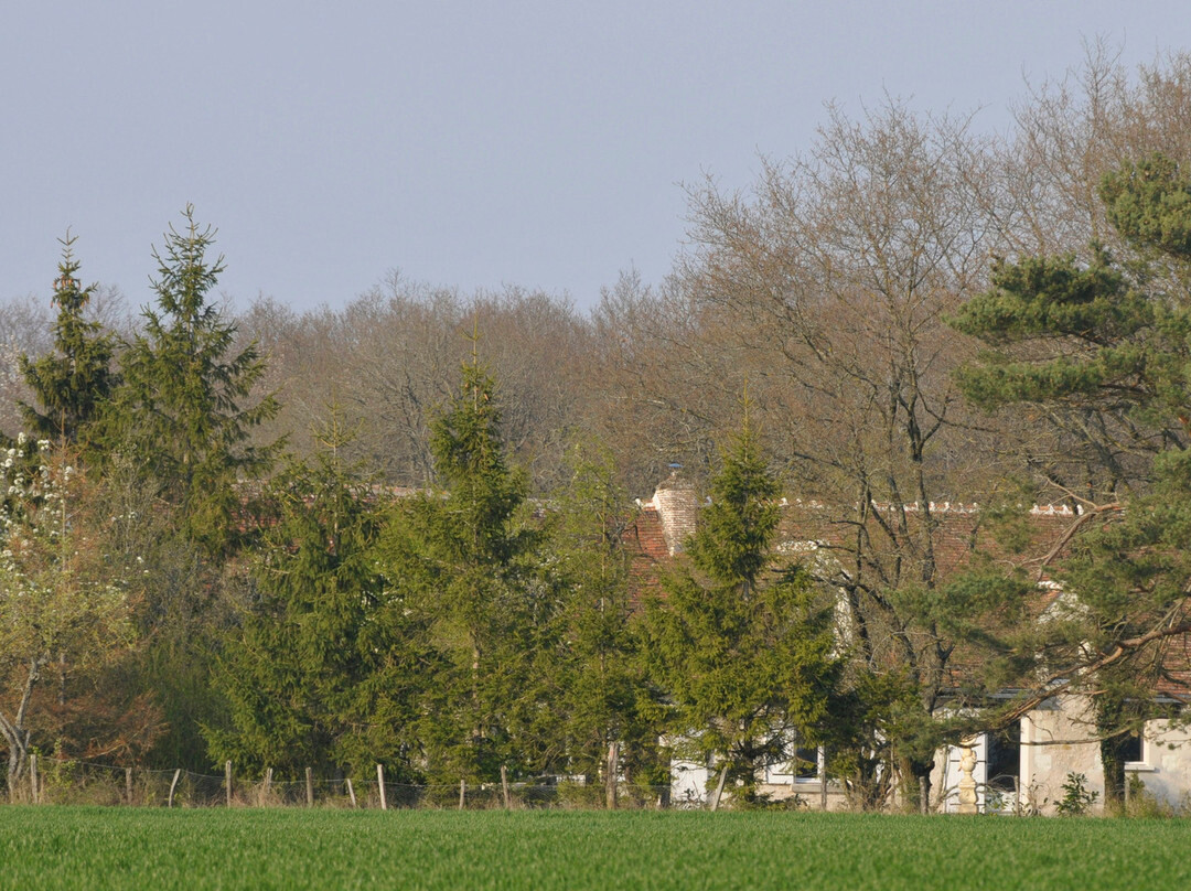 La Pinsonnière主图