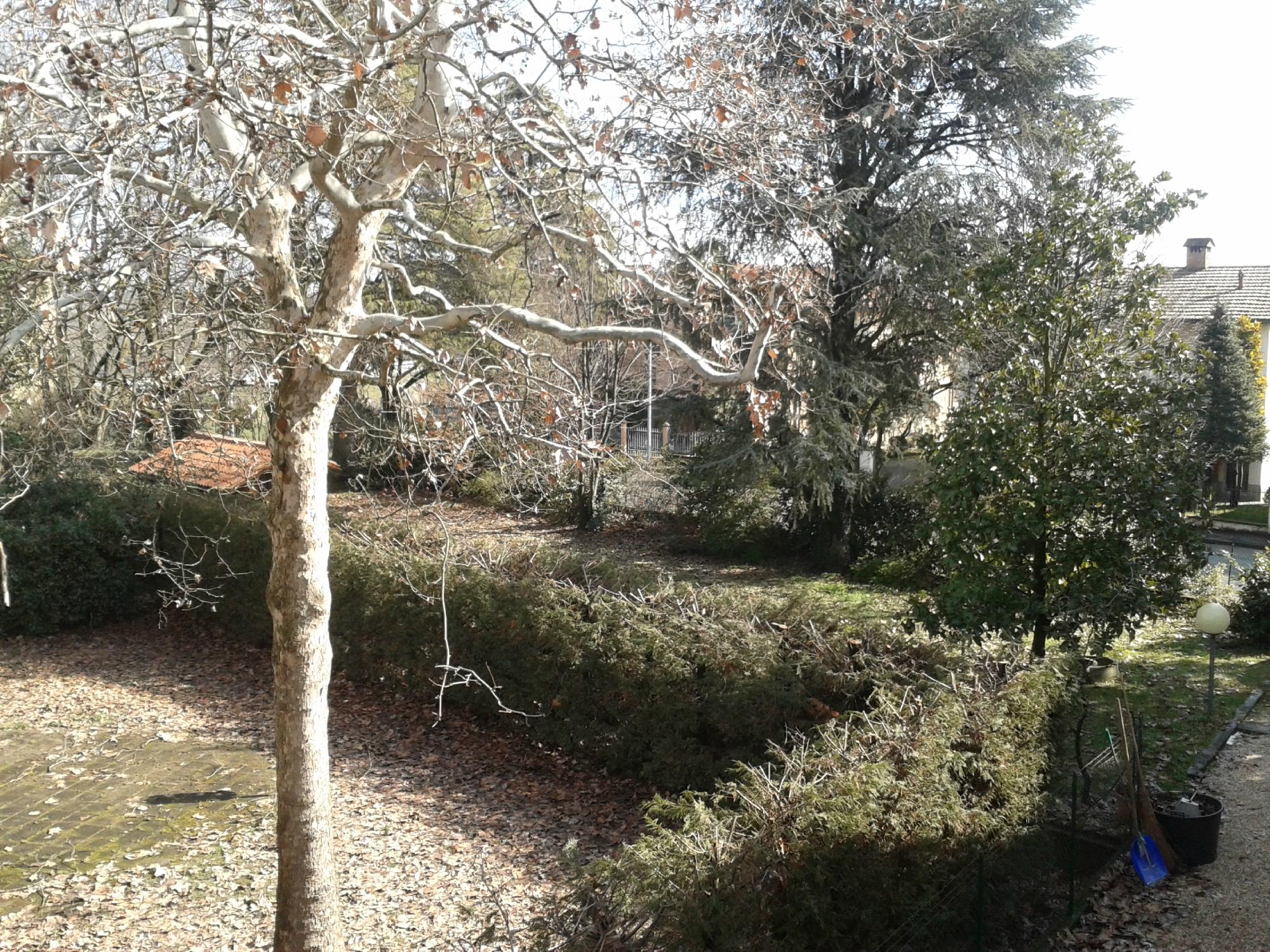 House of Hortensias-客卧