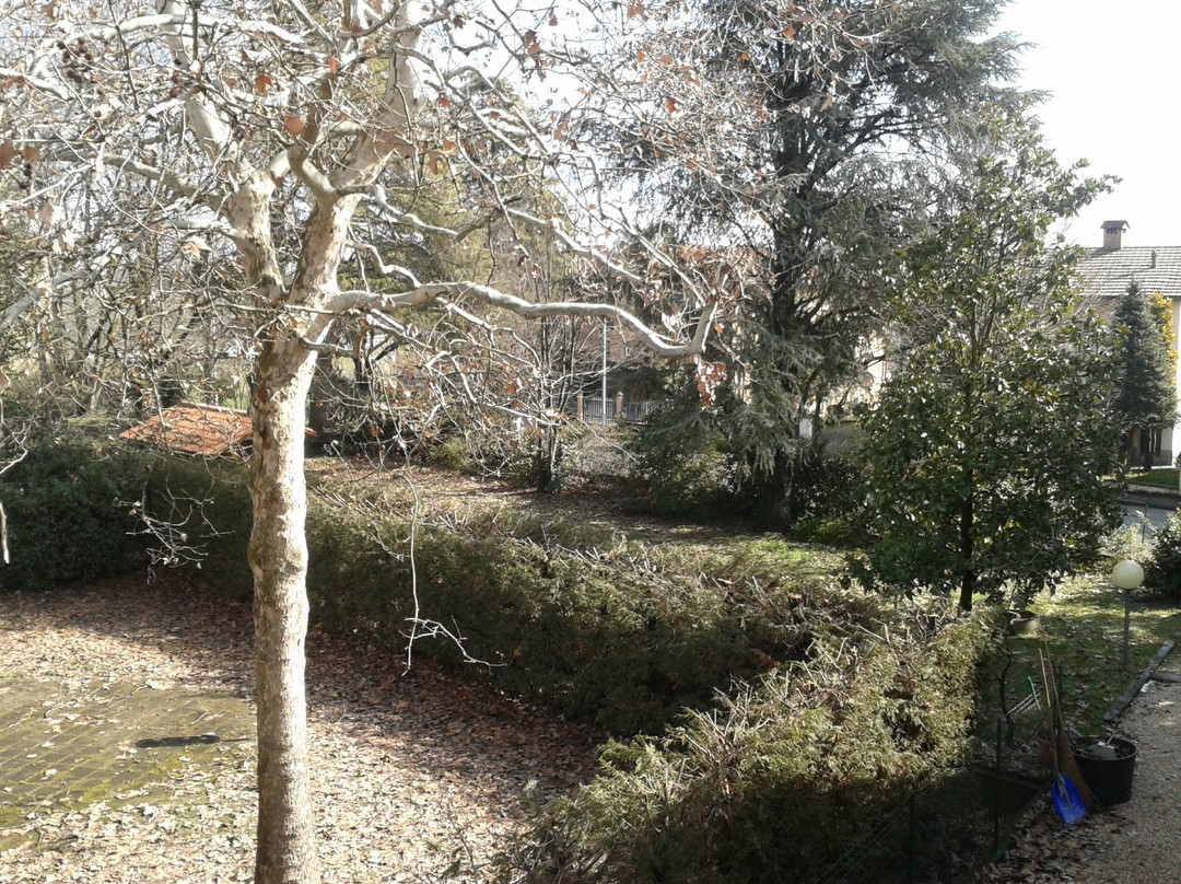 House of Hortensias主图