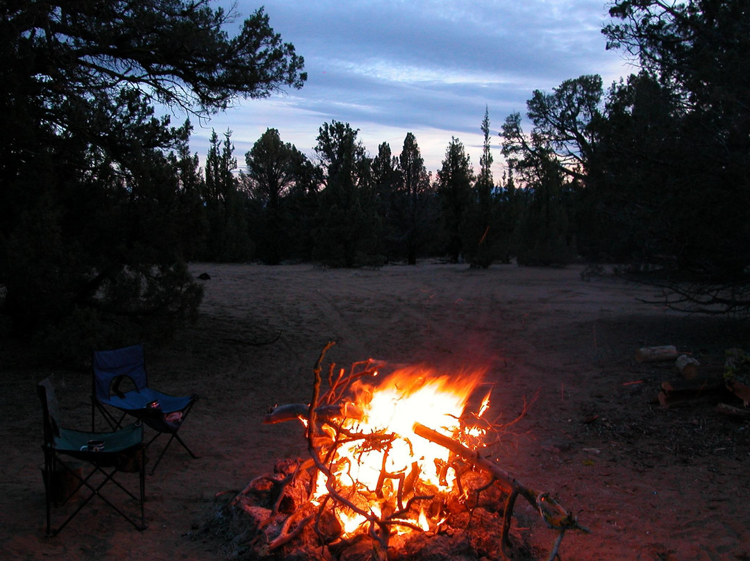 Silver Lake Forest Loop-Silver Lake必去景点