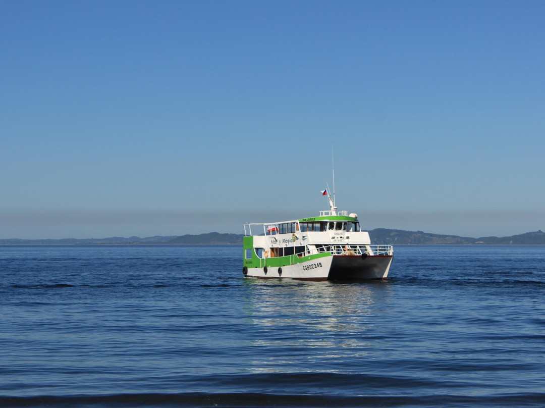 Catamaran Mar y Magia-Castro必去景点