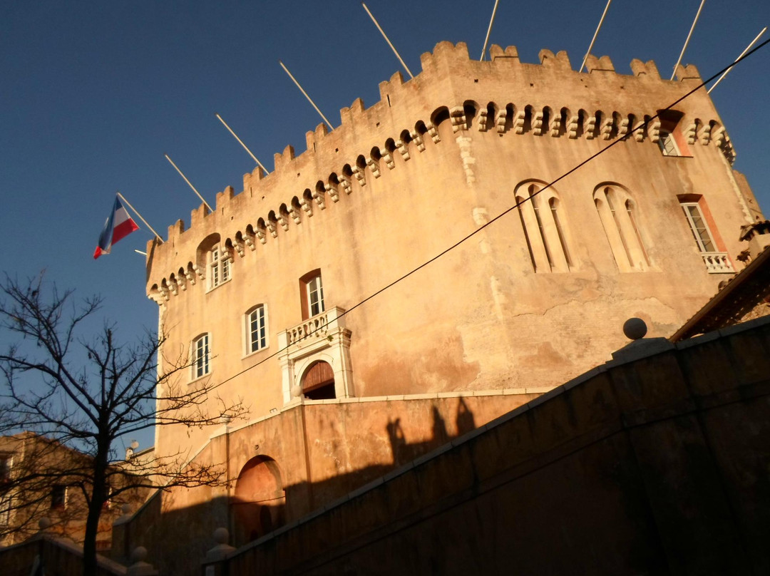 Château-Musée Grimaldi景点图片