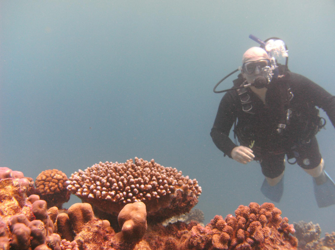 Easy Dive Mauritius-莫纳山必去景点