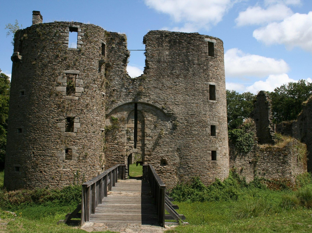 Château de Ranrouët景点图片