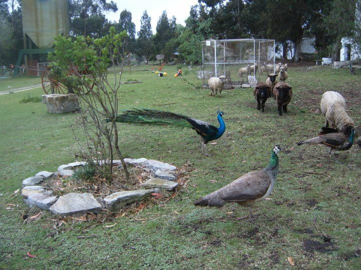 El Encanto Ecoparque景点图片