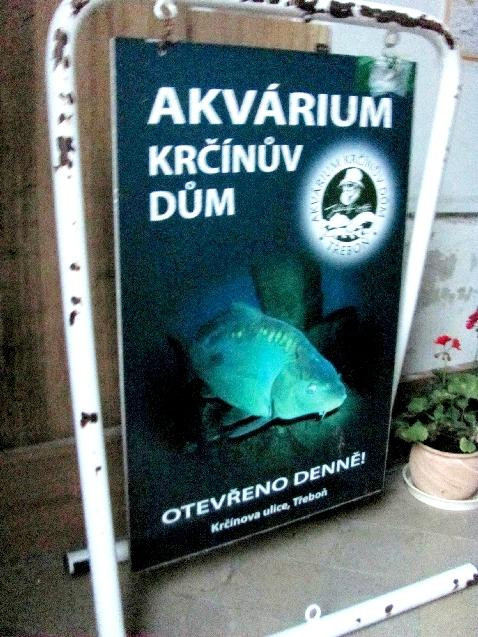 Akvarium Museum景点图片