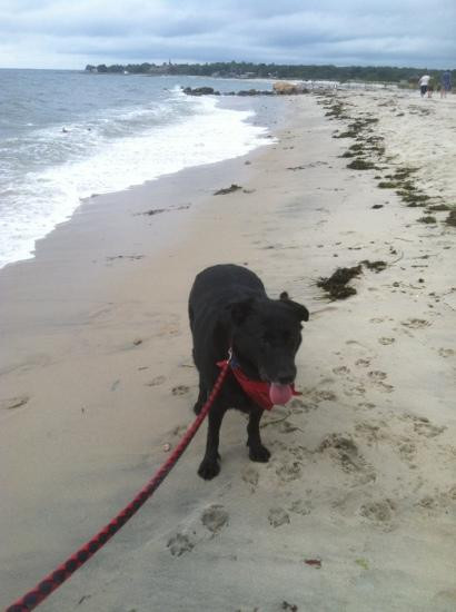 Harkness Memorial State Park-Waterford必去景点