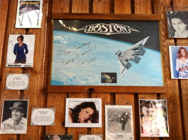 Farm Sanctuary主图