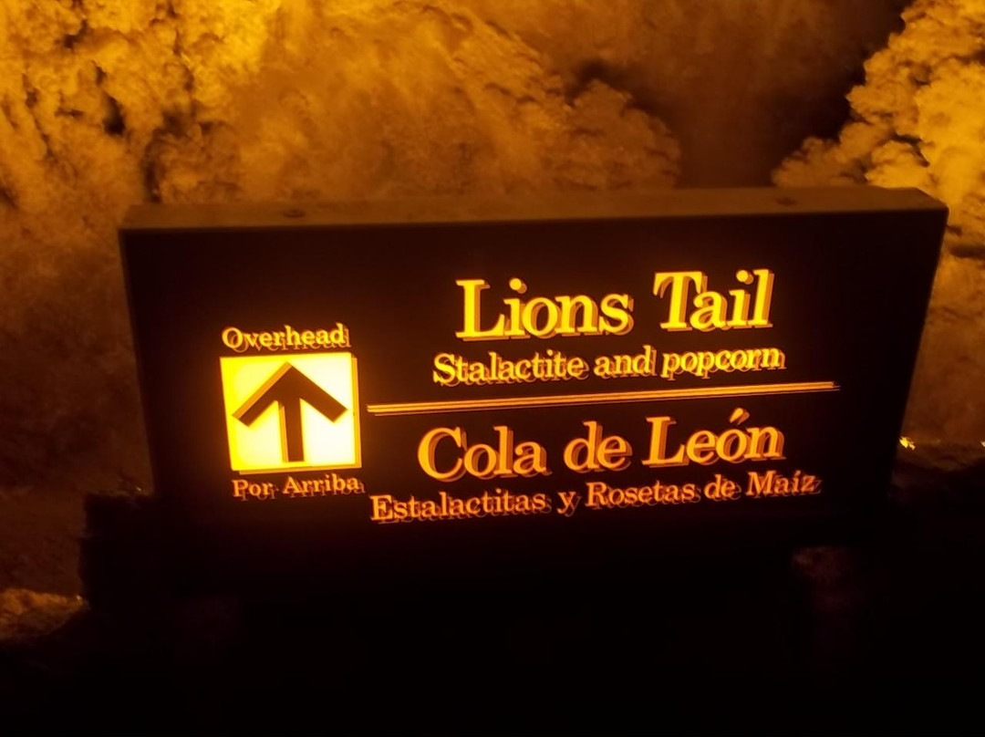 Lion's Tail-卡尔斯巴德洞穴国家公园必去景点