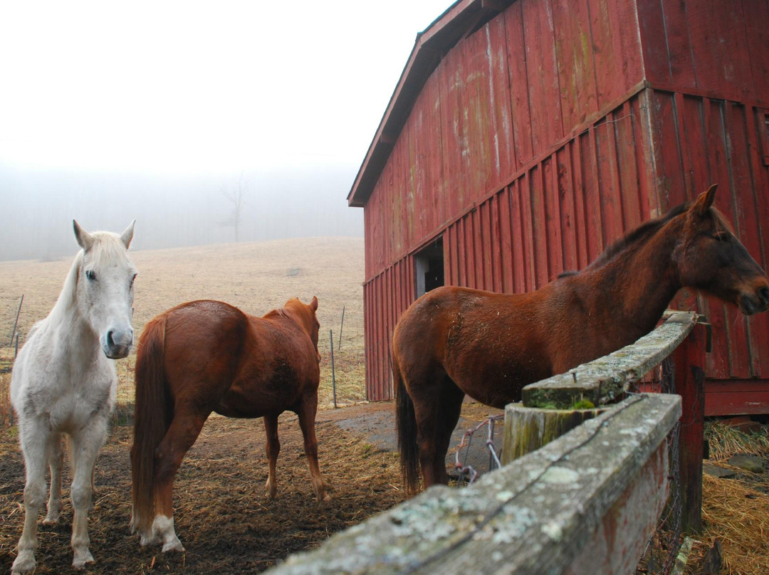 Becky's Bed & Breakfast主图