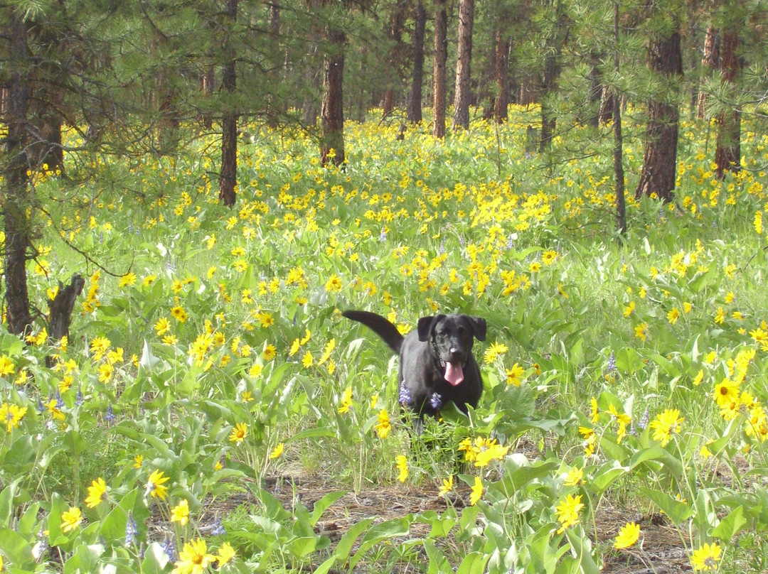 Forest Grove Bed and Breakfast主图