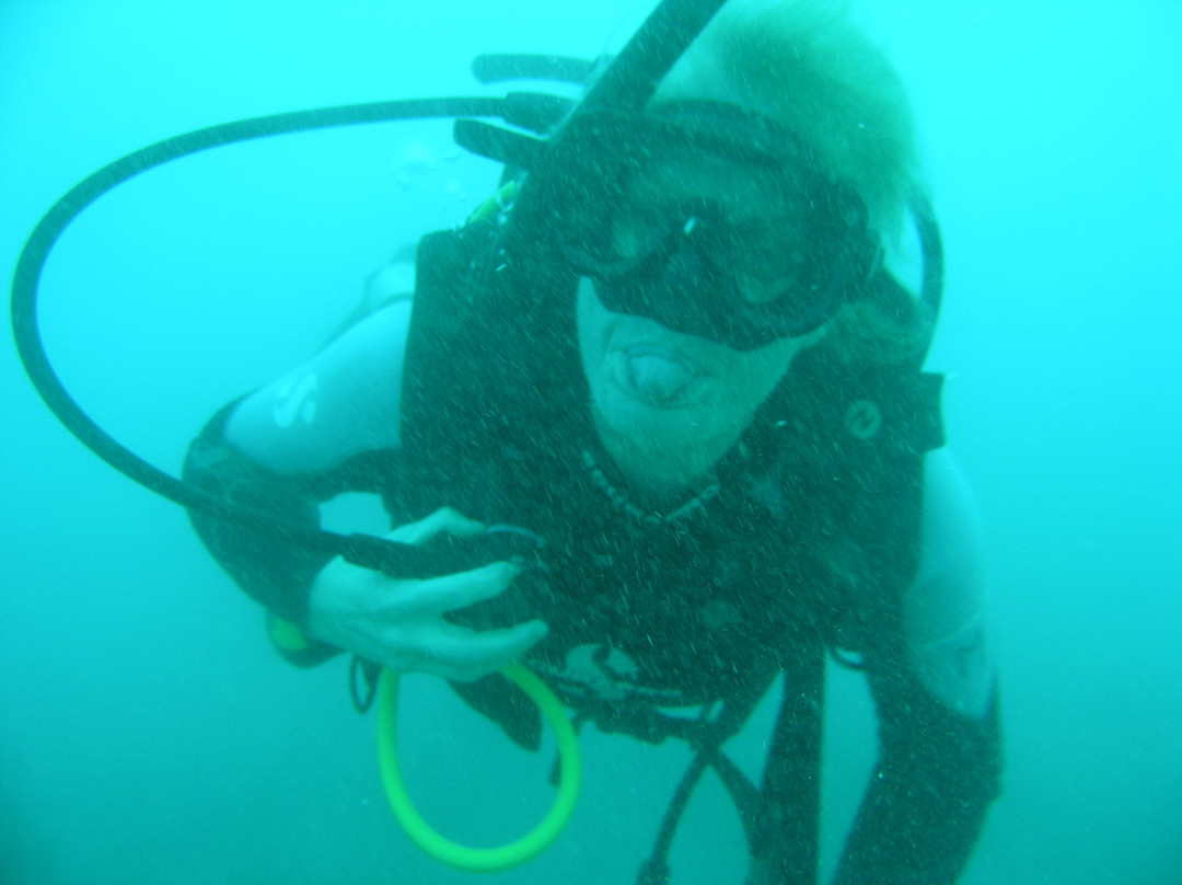 Dressel Divers Puerto Plata-普拉塔港必去景点