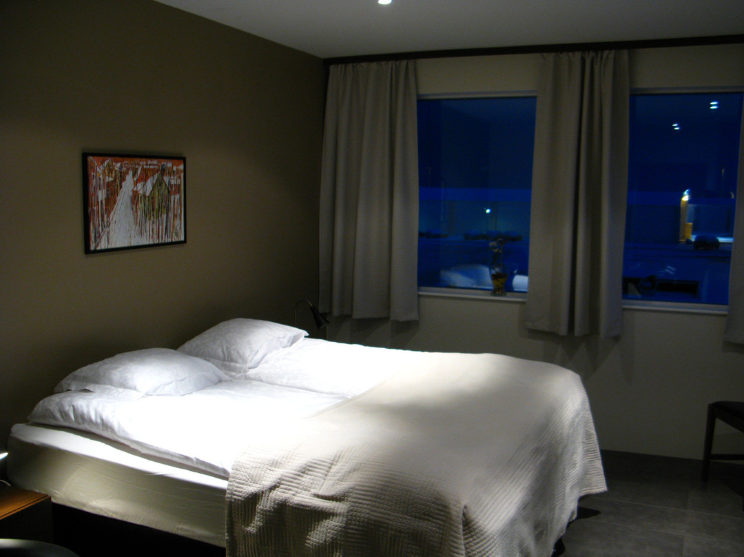 Gistiheimilid Virkid主图