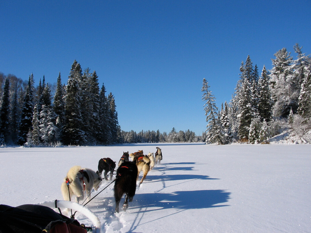 White Wilderness Sled Dog Adventures-伊利必去景点