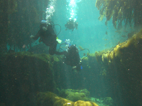 Scuba Tulum-图伦必去景点