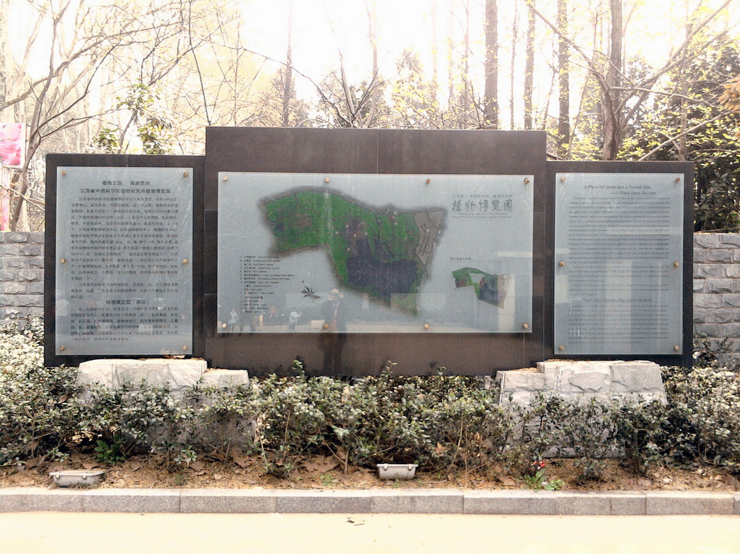 中山植物园-南京市必去景点