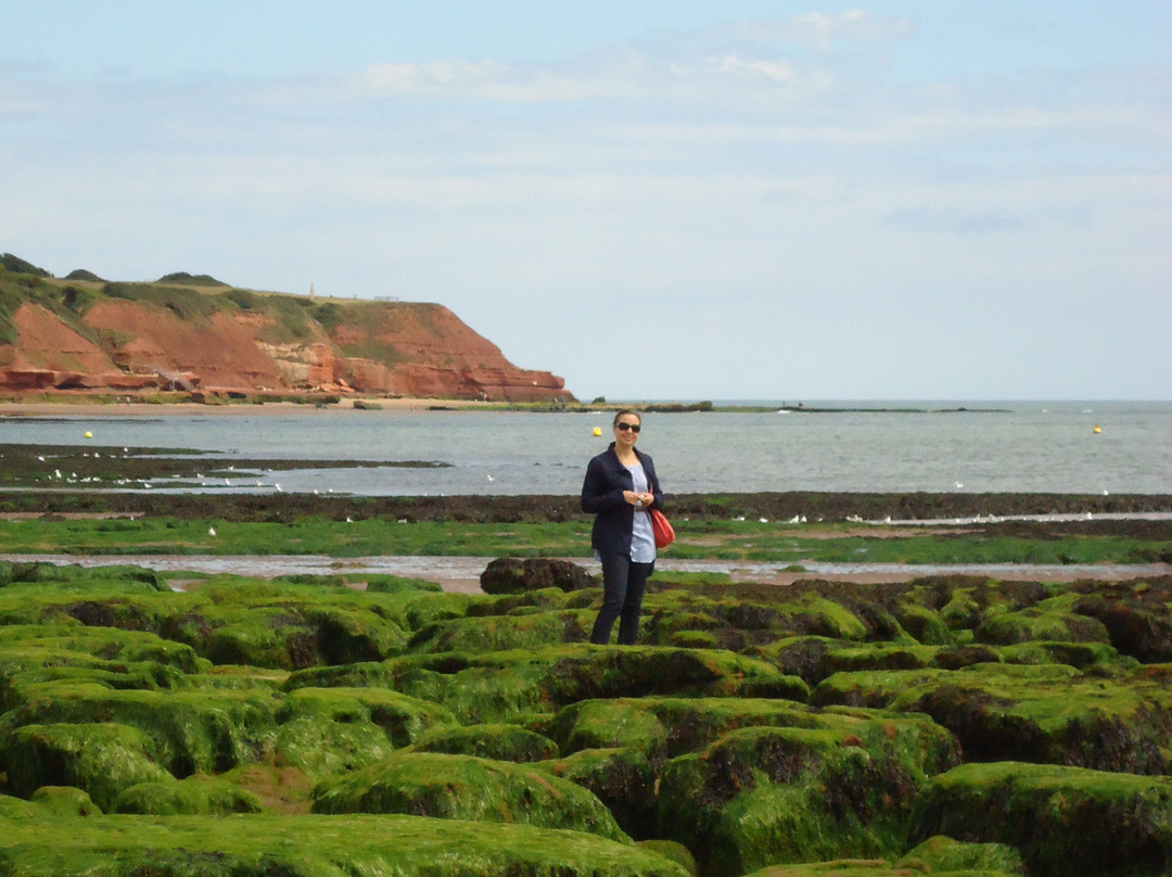 Exmouth Beach-埃克斯茅斯必去景点