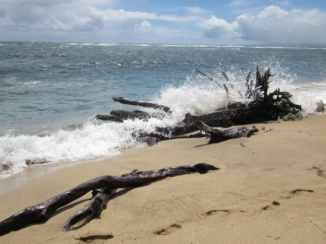 Waihee Beach Park-毛伊岛必去景点