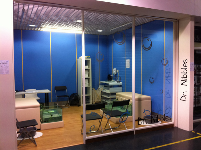 Dr. Nibbles - Fish Pedicure Spa-利物浦必去景点