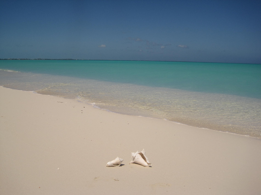 亚历山德拉公主国家公园-普罗维登西亚莱斯必去景点