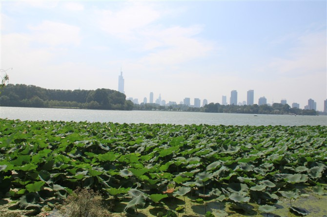 平湖秋月-杭州市必去景点