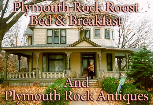 Plymouth Rock Roost-官方
