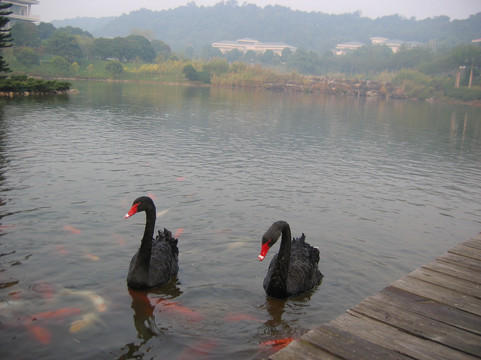 南宁荔园山庄主图