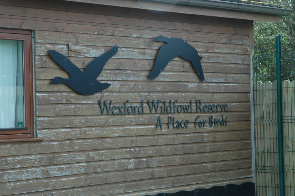 Wexford Wildfowl Reserve-Ardcavan必去景点