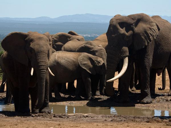 Belmont Country Guest House主图