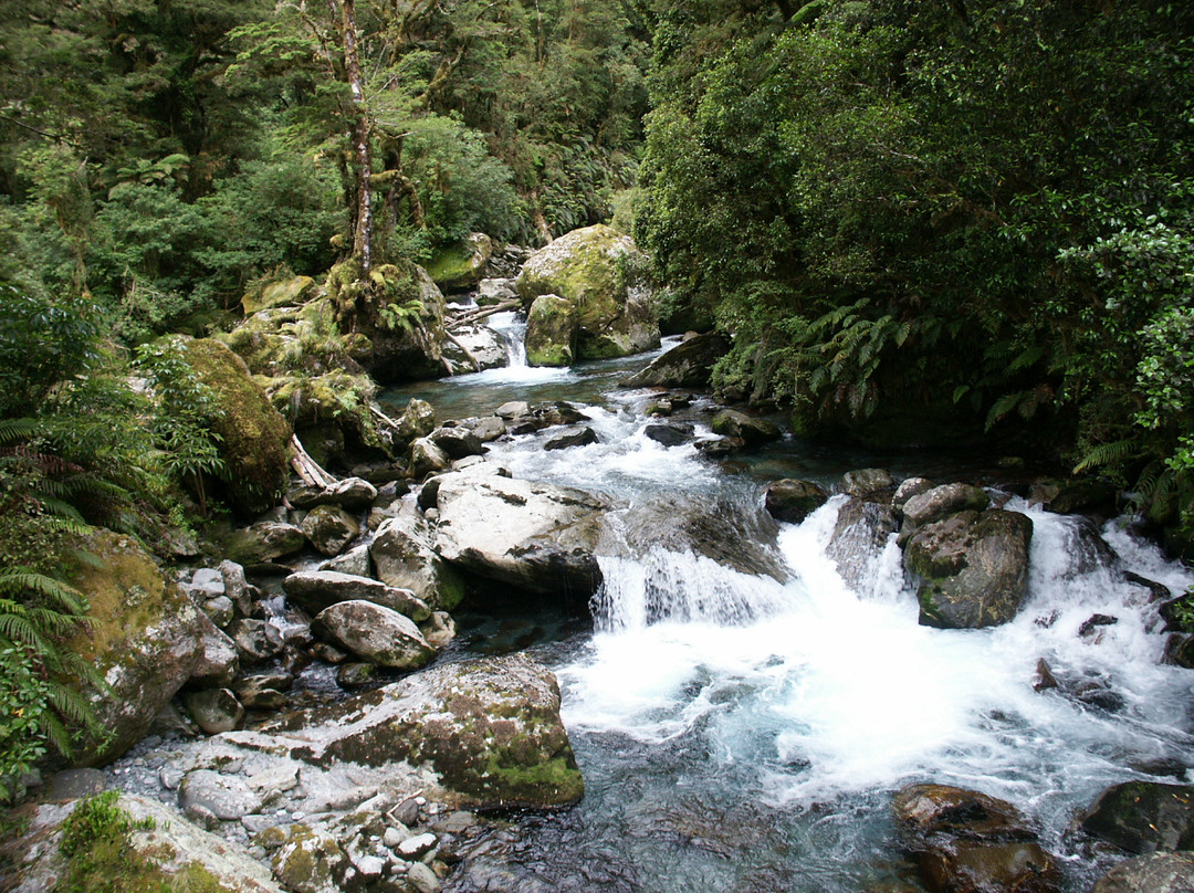 峡湾国家公园-蒂阿瑙必去景点