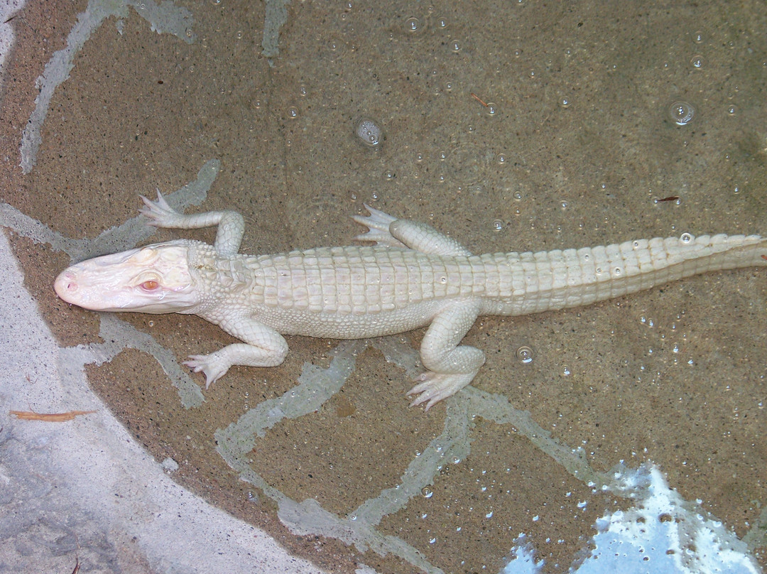 Boonshoft Museum of Discovery-代顿必去景点