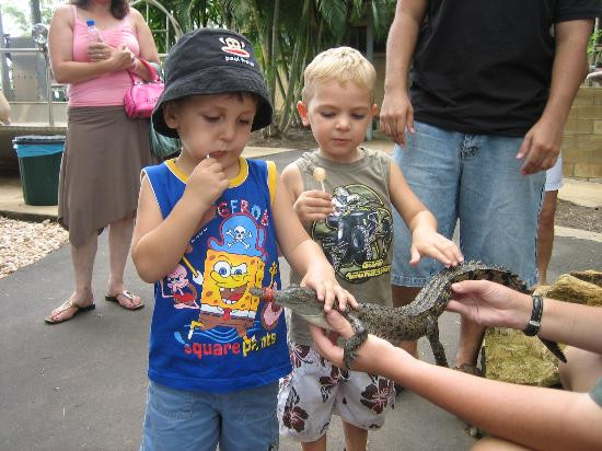 Crocodylus Park-达尔文市必去景点
