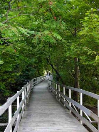 White Water Walk-尼亚加拉大瀑布必去景点