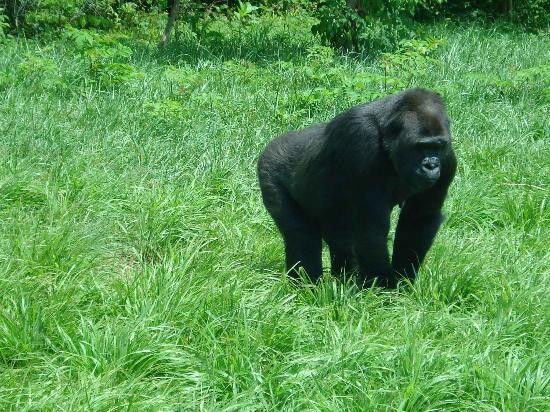 Louisville Zoo-路易斯维尔必去景点