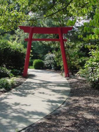 New Hanover County Arboretum景点图片