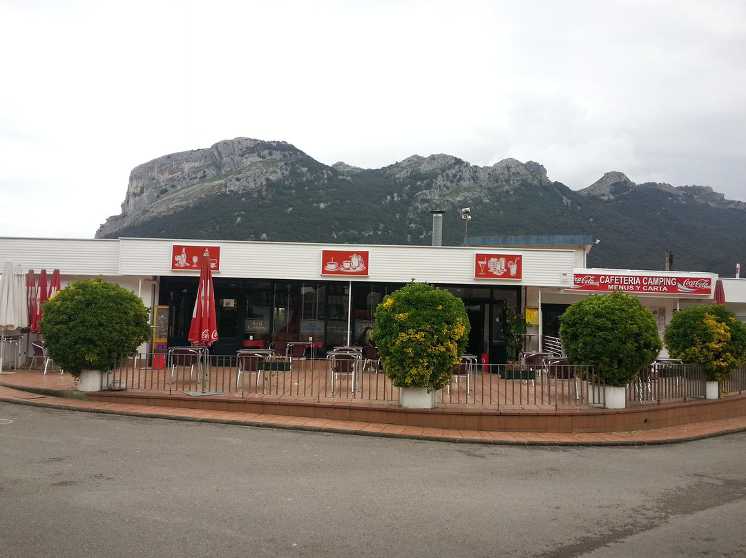 Sopena餐馆和美食-Cafeteria Camping de Oriñon