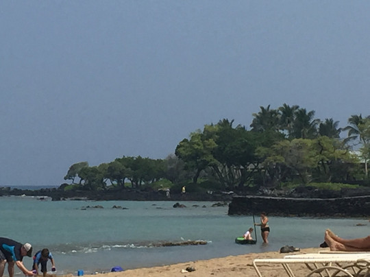 Ocean Sports Glass Bottom Boat Rides-威可洛亚必去景点