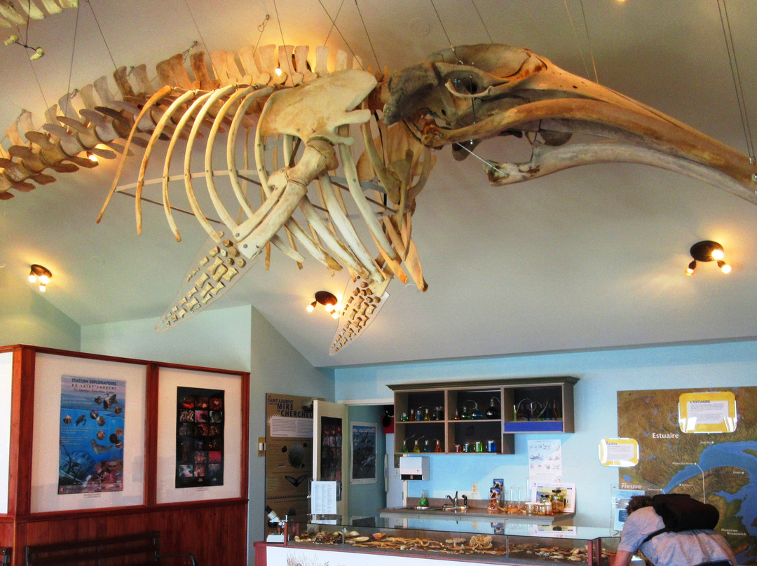Station Exploratoire du Saint-Laurent (St. Lawrence Exploration Centre)-Riviere du Loup必去景点