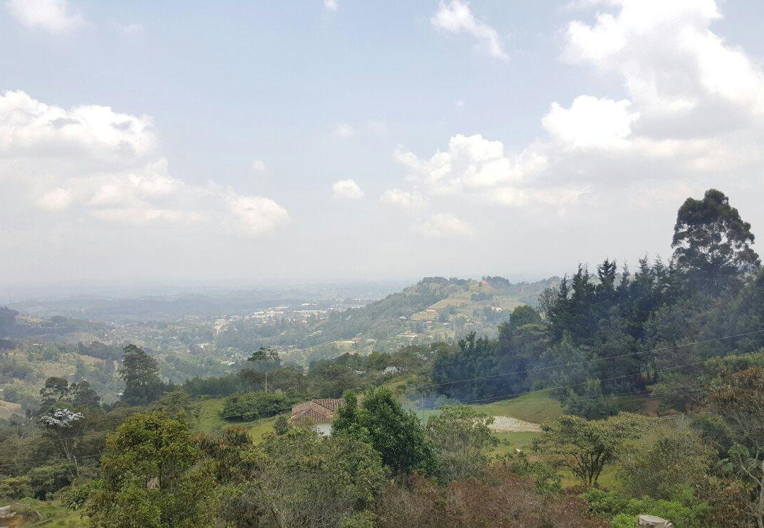 Asados Doña Rosa Sajonia