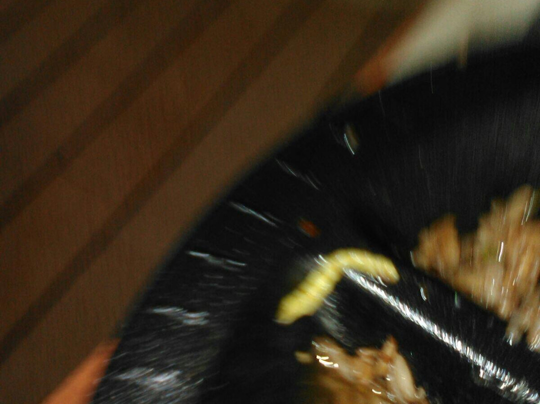 Sr. Wok Oriental Buffet