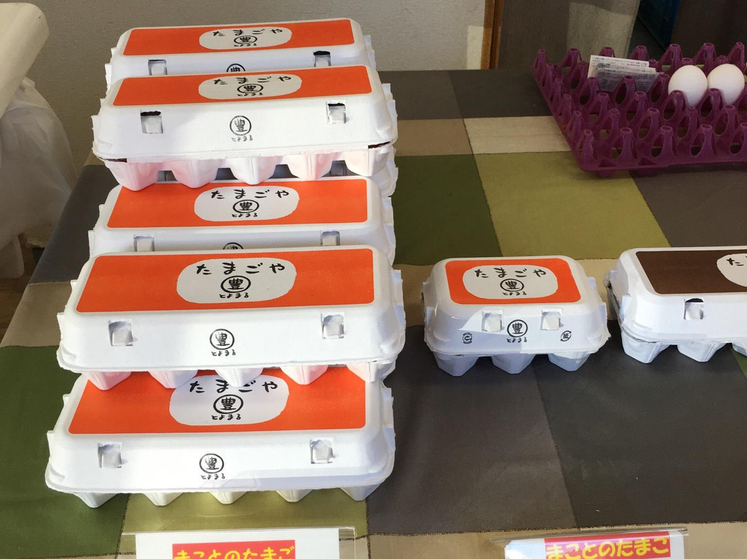 山武市餐馆和美食-Tamagoyatoyomaru