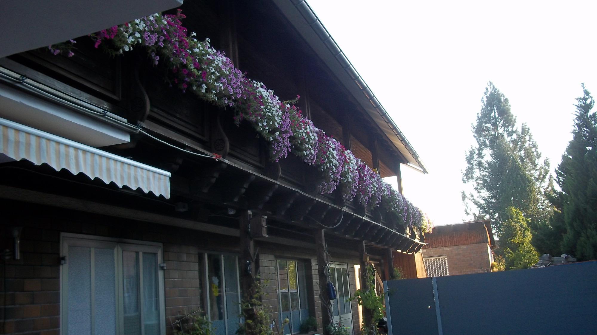 Pension Voit-客卧