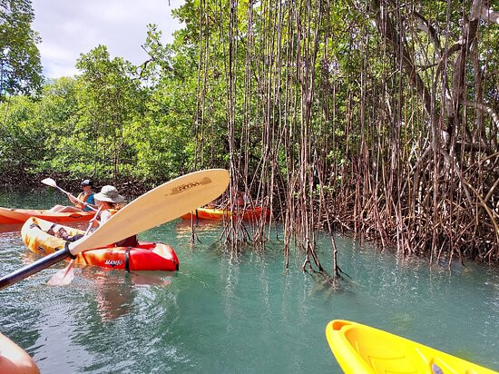Kayak Aventure Mangrove-Ducos必去景点