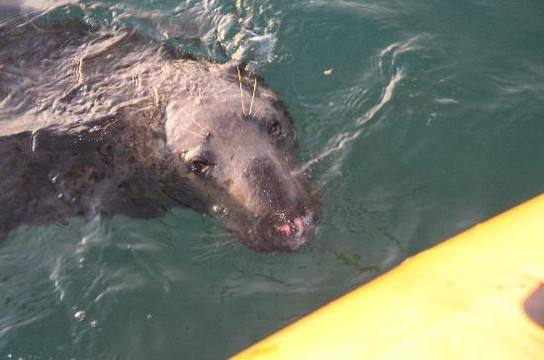 Venture Jet-St. Davids必去景点