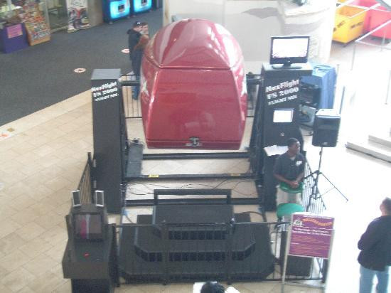 Museum of Science and Industry-坦帕必去景点