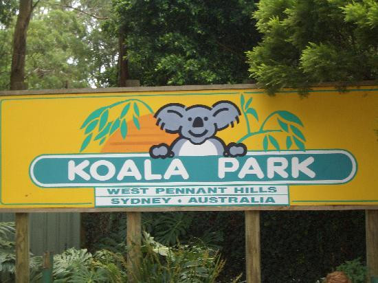 Koala Park Sanctuary景点图片