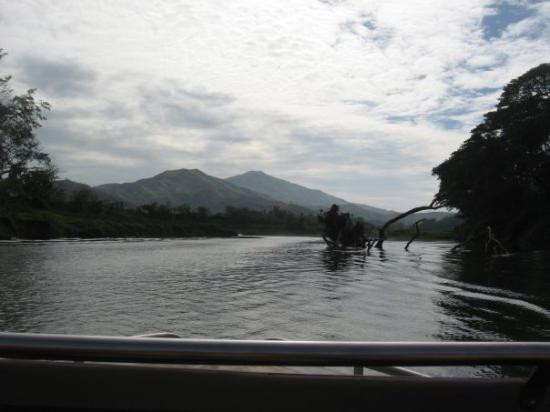 Sigatoka River Safari景点图片