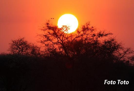 Okavango Delta-马翁必去景点